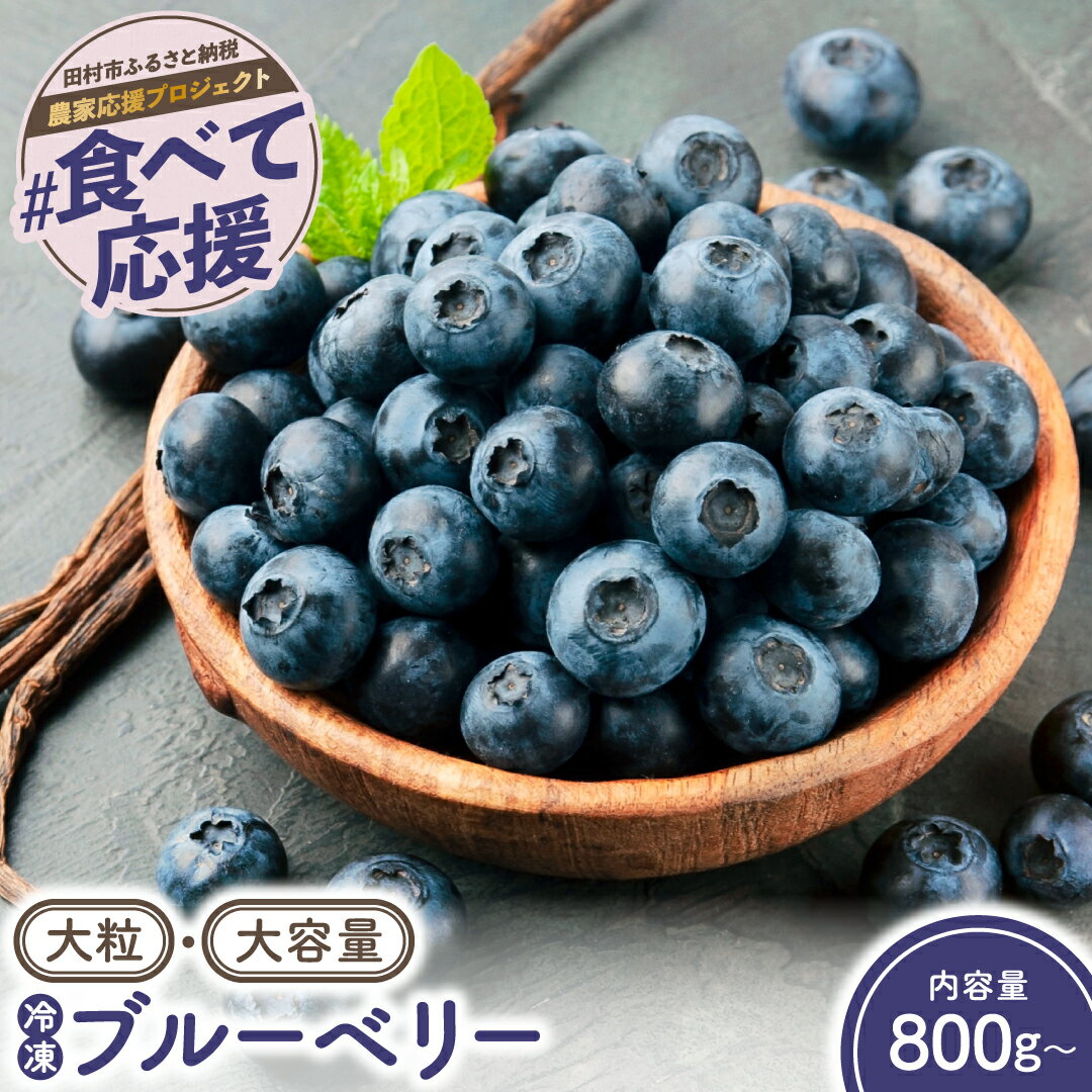 【ふるさと納税】大粒 冷凍ブルーベリー 800g ～ 3kg 小分け 大容量 フルーツ 果物 くだもの 手摘み 新鮮 ベリー お菓子作り ジャム ギフト 贈答 プレゼント 農家直送 福島県 田村市 田村 ゆぶねブルーベリー園