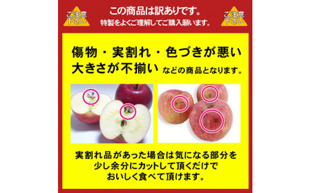 【11月上旬から順次発送】【先行予約】りんごサンふじ 5ｋｇ 訳あり | ふるさと納税 長野県 松本市 信州 季節限定 訳アリ サンふじ りんご