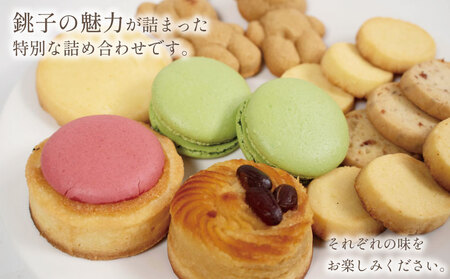 焼き菓子セット 8種 10個 焼き菓子 【地元高校生がプロデュース】