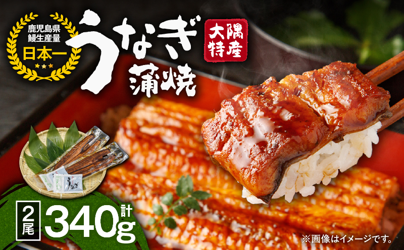 1386 大隅特産うなぎ蒲焼2尾（340g）　KN060-001-01【株式会社　寺園商店】