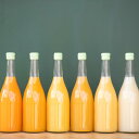 【ふるさと納税】瀬戸内の柑橘100%ストレートジュース旬の大瓶（720ml）6本セット | 飲料 野菜ジュース 食品 人気 おすすめ 送料無料