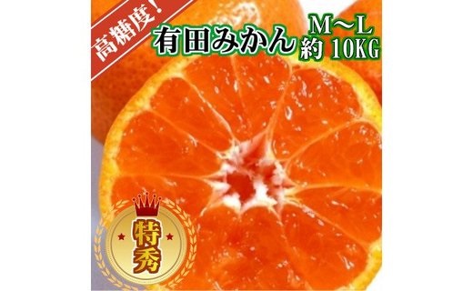 BD6034n_【２０２５年先行予約】高糖度 有田みかん 特秀品 10kg (M～Lサイズおまかせ)