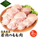 【ふるさと納税】 熊本県産 若鶏のもも肉 2kg 1袋 鶏肉 モモ肉 国産 九州産 冷凍 送料無料