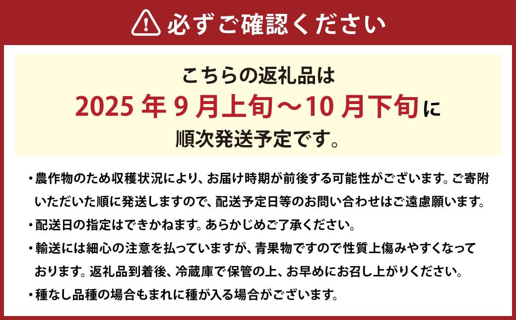 クイーンニーナ 2～3房 計約1.1kg