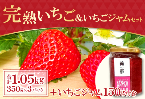 A-330 【農家直送！】完熟いちご（350g×3パック）・いちごジャムセット（150g）