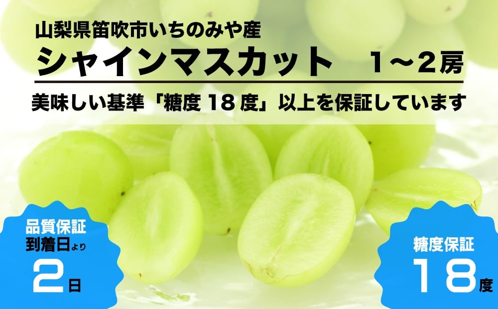 17度以下のシャインマスカットは美味しくありません。だから糖度18度以上のシャインマスカットのみを選び抜いてお届けしています！