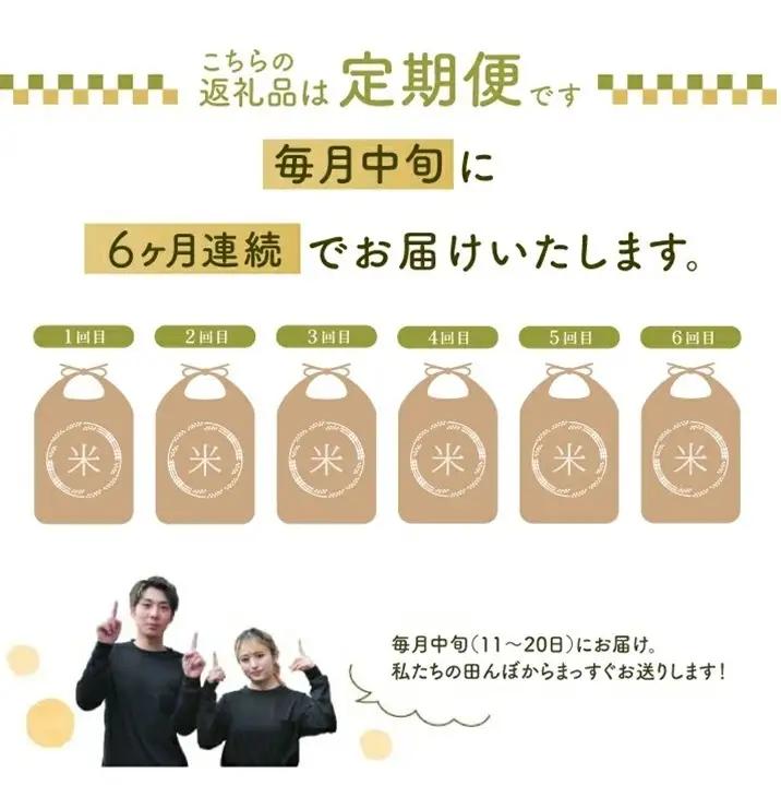 SG0153　12月中旬発送開始／【6回定期便】令和8年産 ［無洗米］雪若丸　5kg×6回(計30kg) 農家直送 HO