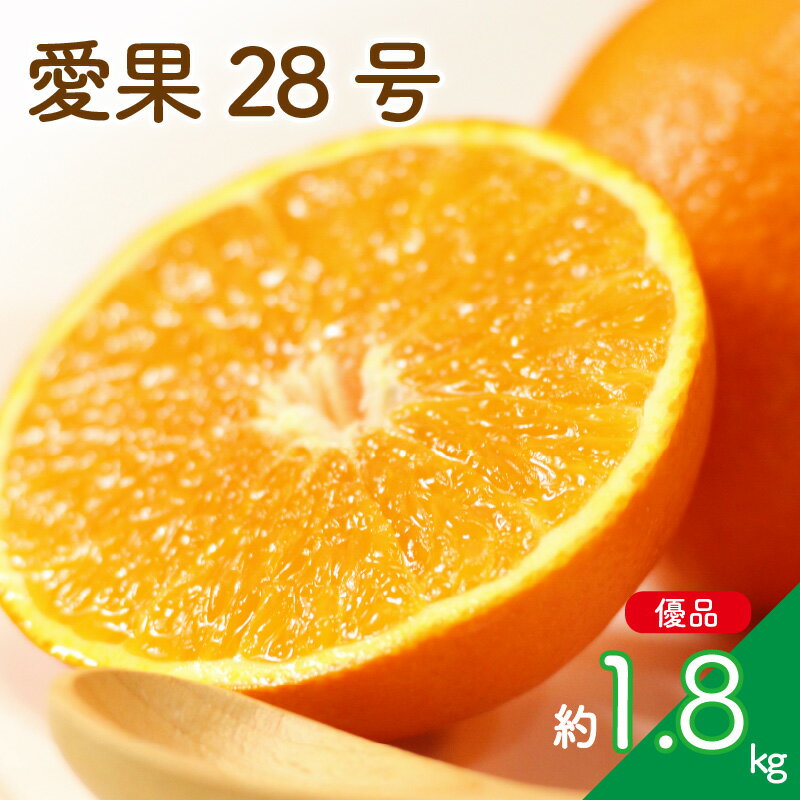 【ふるさと納税】 【先行予約】 柑橘 愛果28号 約 1.8kg 4-9玉 / L-4L | 紅まどんな と同品種 あいか28号 みかん 蜜柑 mikan 檸檬 オレンジ おれんじ かんきつ 【2025年11月中旬頃から発送予定】 愛媛県 松山市 ココオ Koko'o