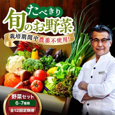 ふるさと納税 大洲市 【全12回定期便】 【シェフの目線】 野菜 6から7種 単身・二人暮らし用セット [AGBX046]