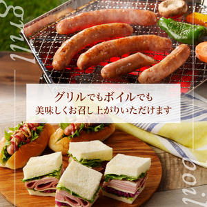 富士山セット【山中湖ハム金賞受賞ハム・ウィンナー詰合せ】 6種 ハム ウインナー ソーセージ ベーコン 詰め合わせ 山中湖ハム 山梨 富士吉田