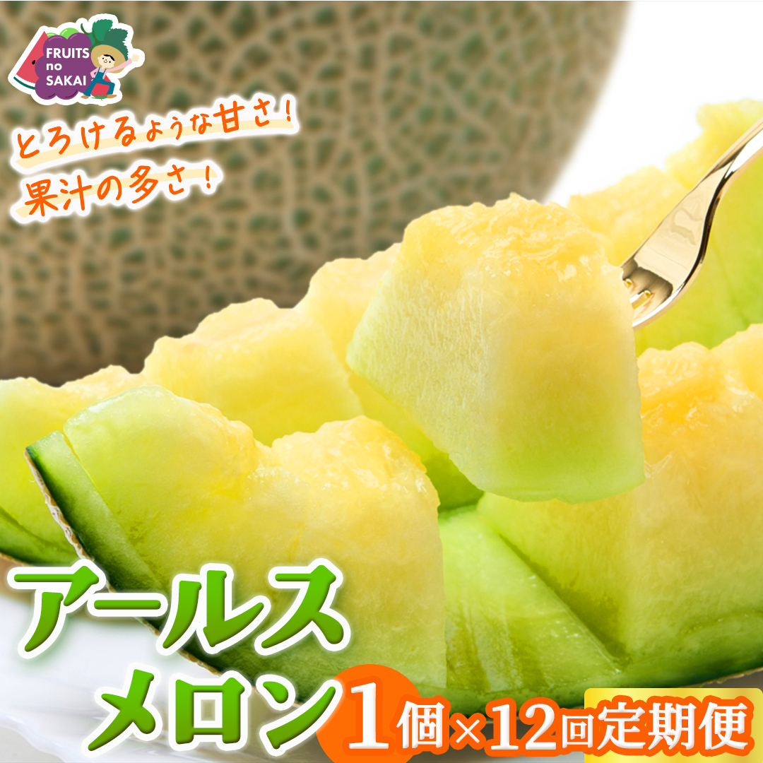 【定期便】 アールスメロン 1玉 × 12か月連続 メロン ギフト 高糖度 甘い 美味しい フルーツ 誕生日 プレゼント ギフト 贈り物 父の日 母の日 1個 [FC47-NT]