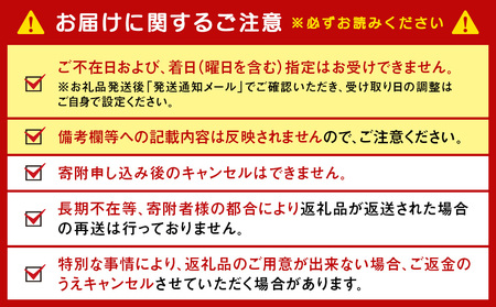 【ルタオ】ドゥーブルフロマージュ 4個セット