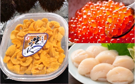 E-71016 エゾバフンウニ塩水パック150g×1P、いくら醤油漬け(鱒卵)150g×1P、お刺身ホタテ貝柱500g×1P[11月下旬以降発送]