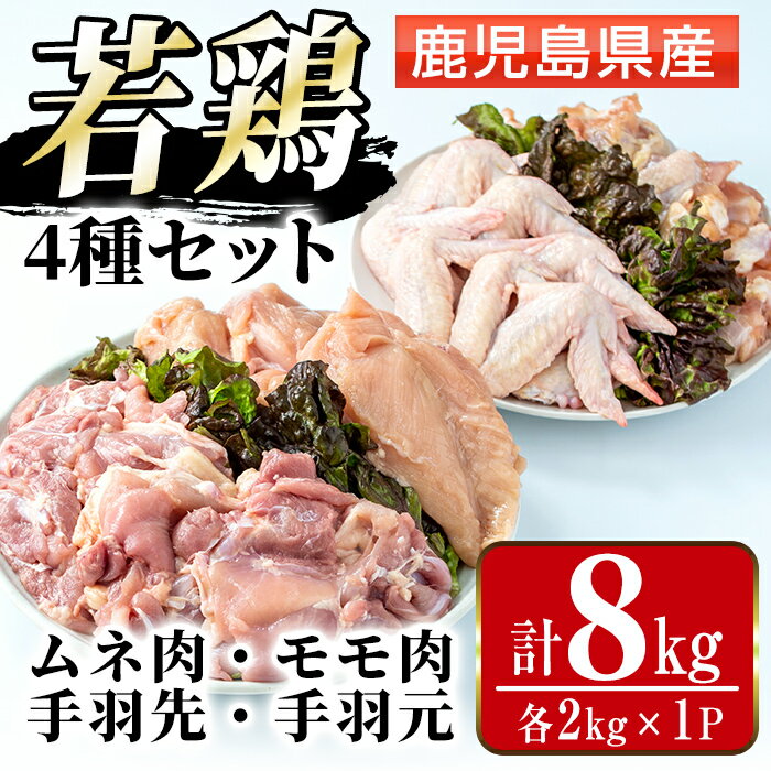 【ふるさと納税】鹿児島県産 若鶏4種セット (ムネ・モモ・手羽先・手羽元 / 各2kg×1P・計8kg ) 鶏肉 むね肉 もも肉 手羽先 手羽元 国産 九州産 お肉 モモ肉 ムネ肉 手羽 手羽さき 手羽もと チキン 冷凍 セット 詰め合わせ 【まつぼっくり】