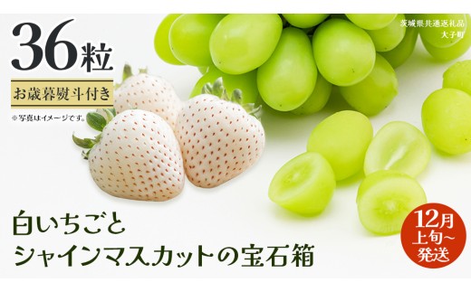【 お歳暮 熨斗付き 】 白いちご と シャインマスカット の宝石箱 36粒 (茨城県共通返礼品：大子町) いちご マスカット 果物 フルーツ 旬 季節限定 期間限定 贈答用 ギフト 贈り物 36粒