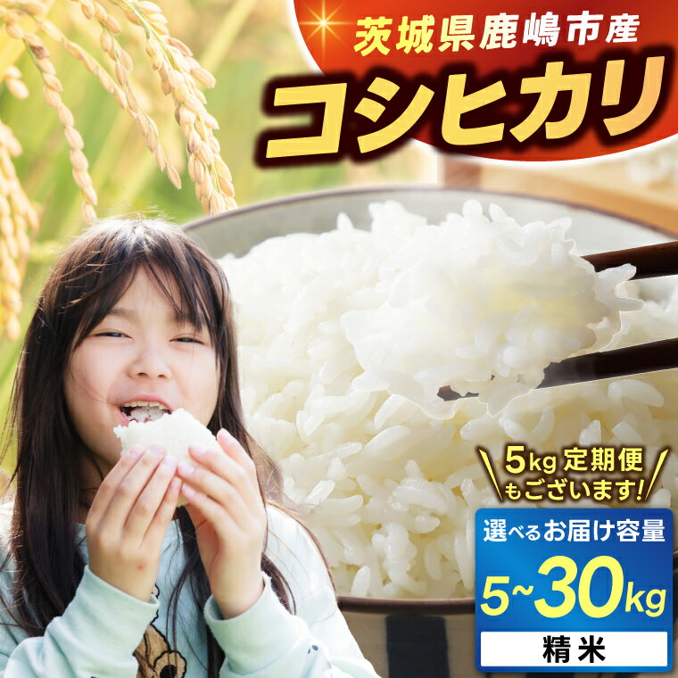 【ふるさと納税】★新米 令和7年★ 米 精米 白米 こしひかり 選べる 先行予約 5kg / 10kg / 30kg / 定期便 3ヶ月/6ヶ月 鹿嶋市産【令和7年産 コシヒカリ お米 コメ ごはん ライス ブランド米 茨城県 鹿嶋市】