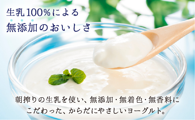 大富牧場の無添加ヨーグルト グリークヨーグルト 450g×2