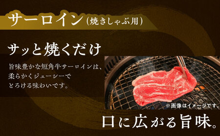 短角牛 サーロイン（焼きしゃぶ用）300g×2パック サーロイン[BEAI003]