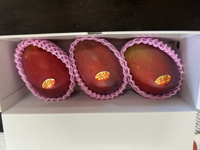 アップルマンゴー（1kg）優　2～4玉 I マンゴー アーウィン 嘉数マンゴー 1kg 2kg 家庭 用 フルーツ 果物 沖縄県 南城市 ふるさと納税
