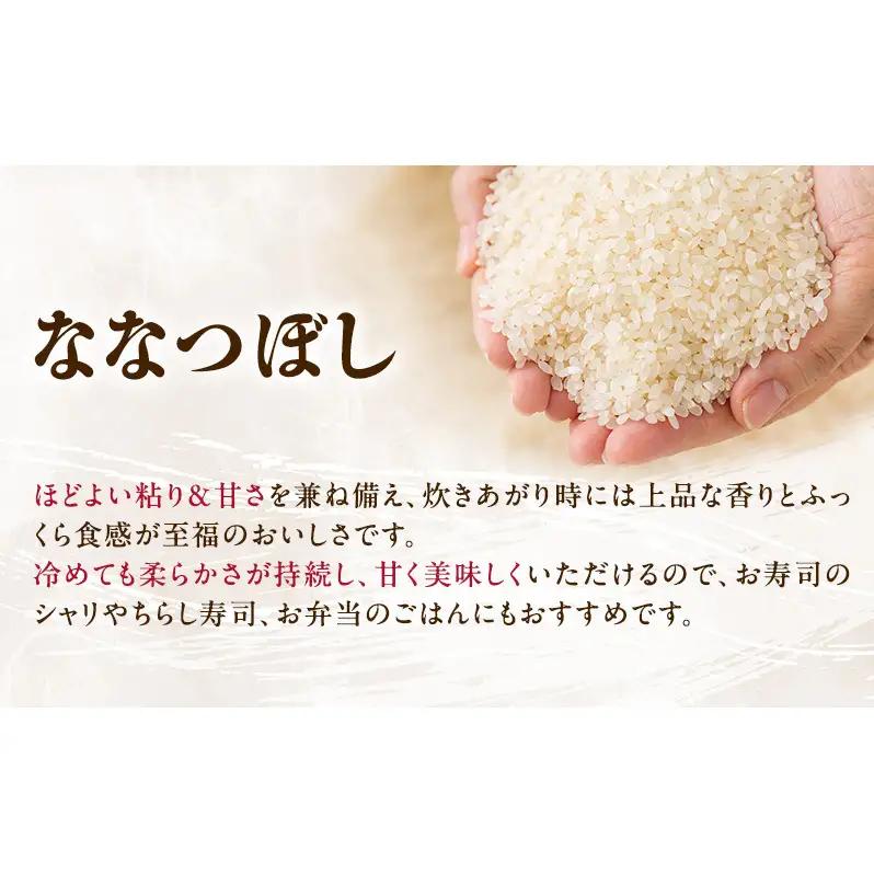 ななつぼし 北海道産 無洗米 特A ななつぼし【10kg】【3ヵ月定期便】