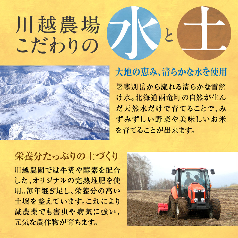 【定期便全4回】令和6年産 川越さんちの おぼろづき　10kg（5kg×2袋）毎月1回お届け 雨竜産 精米 定期便 10kg お米 お取り寄せ 北海道 雨竜町