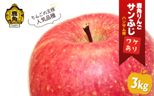 《 先行予約 》 鹿角りんご 訳あり「サンふじ」約 3kg ●2025年12月上旬発送開始【ハンサム侍】リンゴ 林檎 フルーツ グルメ ギフト 故郷 秋田 あきた 鹿角市 鹿角 送料無料