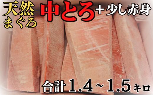 【中トロ主体で1kg以上】三崎の天然目鉢まぐろ　M030-016