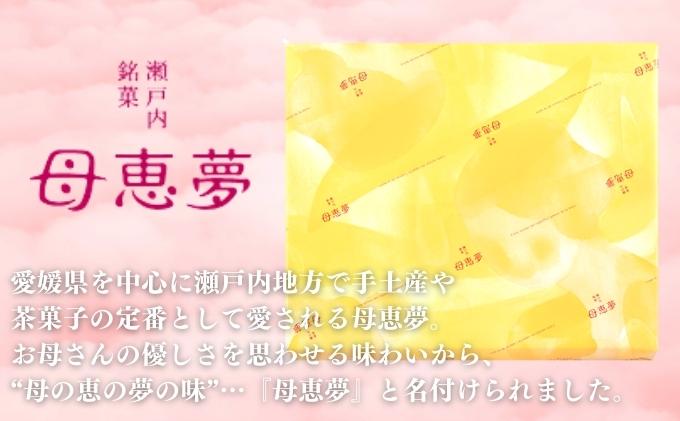 瀬戸内銘菓 母恵夢 9個入　ポエム 手土産 贈答 ギフト お菓