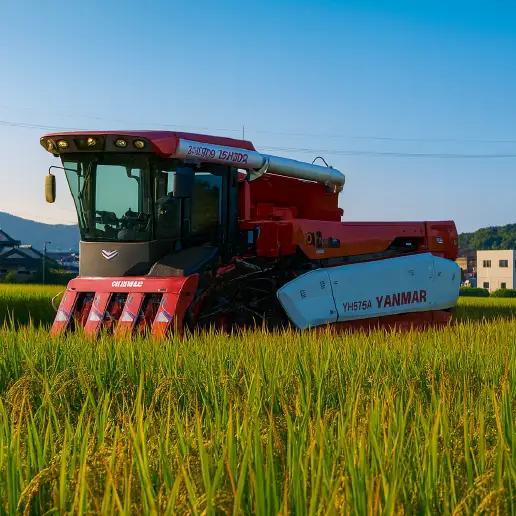 令和7年産 ヒノヒカリ 玄米 5kg ひのひかり  