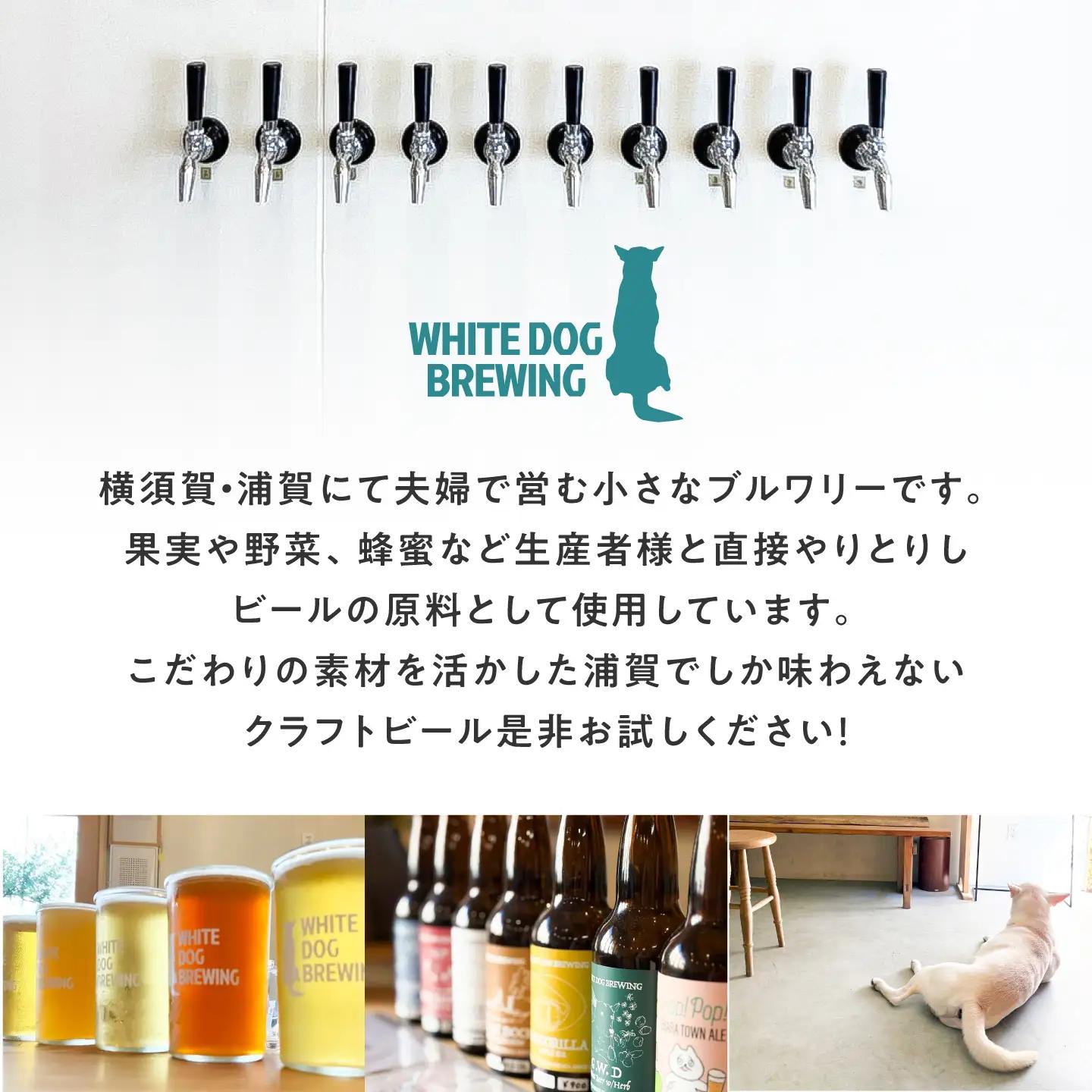 WHITE DOG BREWING 浦賀を楽しむパーティ12本セット 【3種×各4本】【浦賀ビール合同会社】[AKHR015]