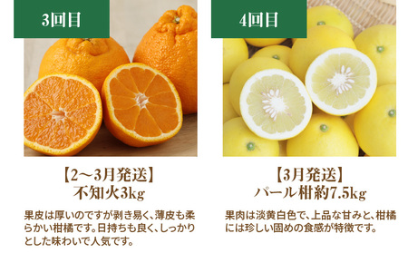 S040-017A_【定期便5回】厳選！天草 下浦地区の農家が愛情込めて育てた柑橘5種〈先行予約〉 / ポンカン 不知火 晩柑 柑橘 みかん フルーツ