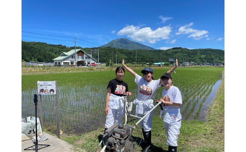ライスボール おにぎり大作戦 はれわたり2kg お米 米 精米  青森県 西目屋村