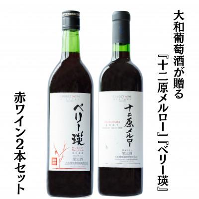 ふるさと納税 甲州市 大和葡萄酒が贈る『十二原メルロー』『ベリー瑛』赤ワイン2本セット　B15694