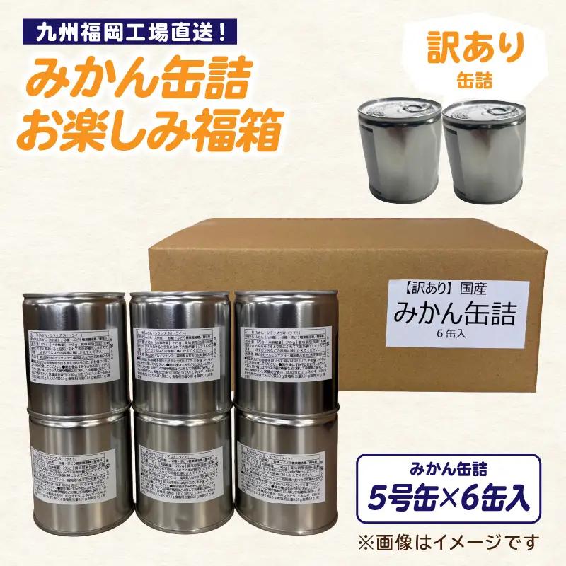 九州福岡工場直送！ 【訳あり】 もったいな果シリーズ みかん缶詰 お楽しみ 福箱 温州みかん もったいない 訳あり 備蓄 保存 福岡県 八女市 007-038