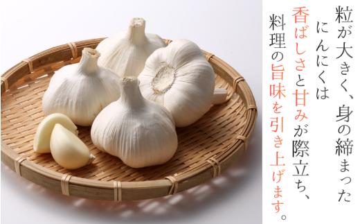 奈良県葛城産 にんにく 約4kg(500g×8袋)  【2026年5月上旬～7月下旬順次発送】／ スマイル葛城農業 大和野菜  にんにく 農家直送 産直 新鮮 旬 名産 健康 美容 栄養 奈良県 葛城