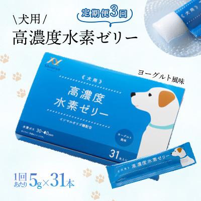 ふるさと納税 北九州市 【毎月定期便】高濃度水素ゼリー　犬用　5g×31本全3回