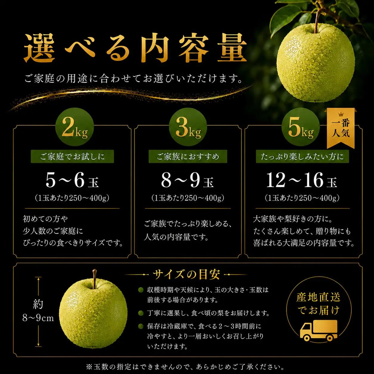 【期間限定】梨 なし 二十世紀 3kg 鳥取県 湯梨浜町 果物 フルーツ 特産品 8月中旬～9月上旬頃順次発送 先行予約 JA 東郷梨選果場 新鮮 人気 おすすめ 送料無料 選べる 内容量  くだもの