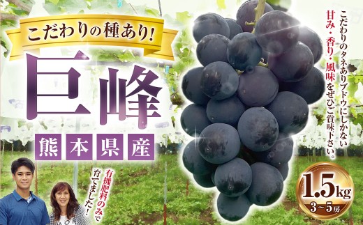 巨峰 約1.5kg（3～5房） 【2026年8月下旬～10月下旬まで順次発送予定】 果汁 果物 くだもの 果実 フルーツ 甘み 香り 風味 葡萄 ブドウ タネあり タネ 種 有機肥料