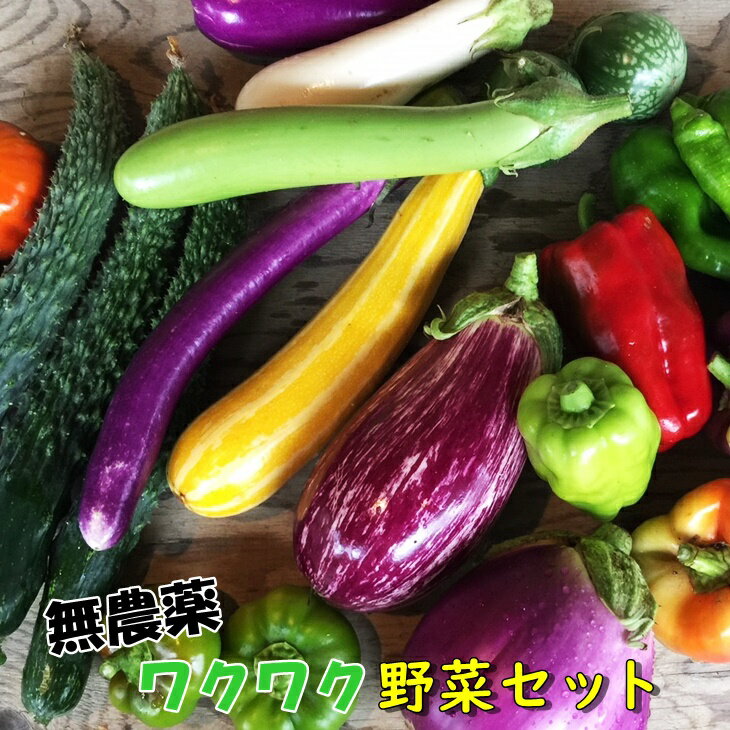 【ふるさと納税】ひばり農園の無農薬ワクワク野菜セット《 予約受付 6月より発送開始》 お楽しみ 野菜 詰め合わせ 7〜10品 無農薬 野菜