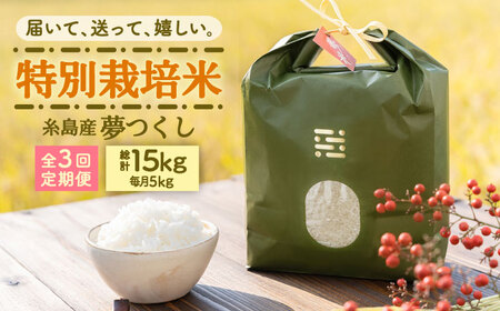 【全3回定期便】とくべつの中のとくべつ 特別栽培米 5kg 夢つくし 吉富町/(株)やました[BGBX006]