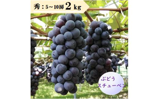 08-08-008　ぶどう（スチューベン）2kg