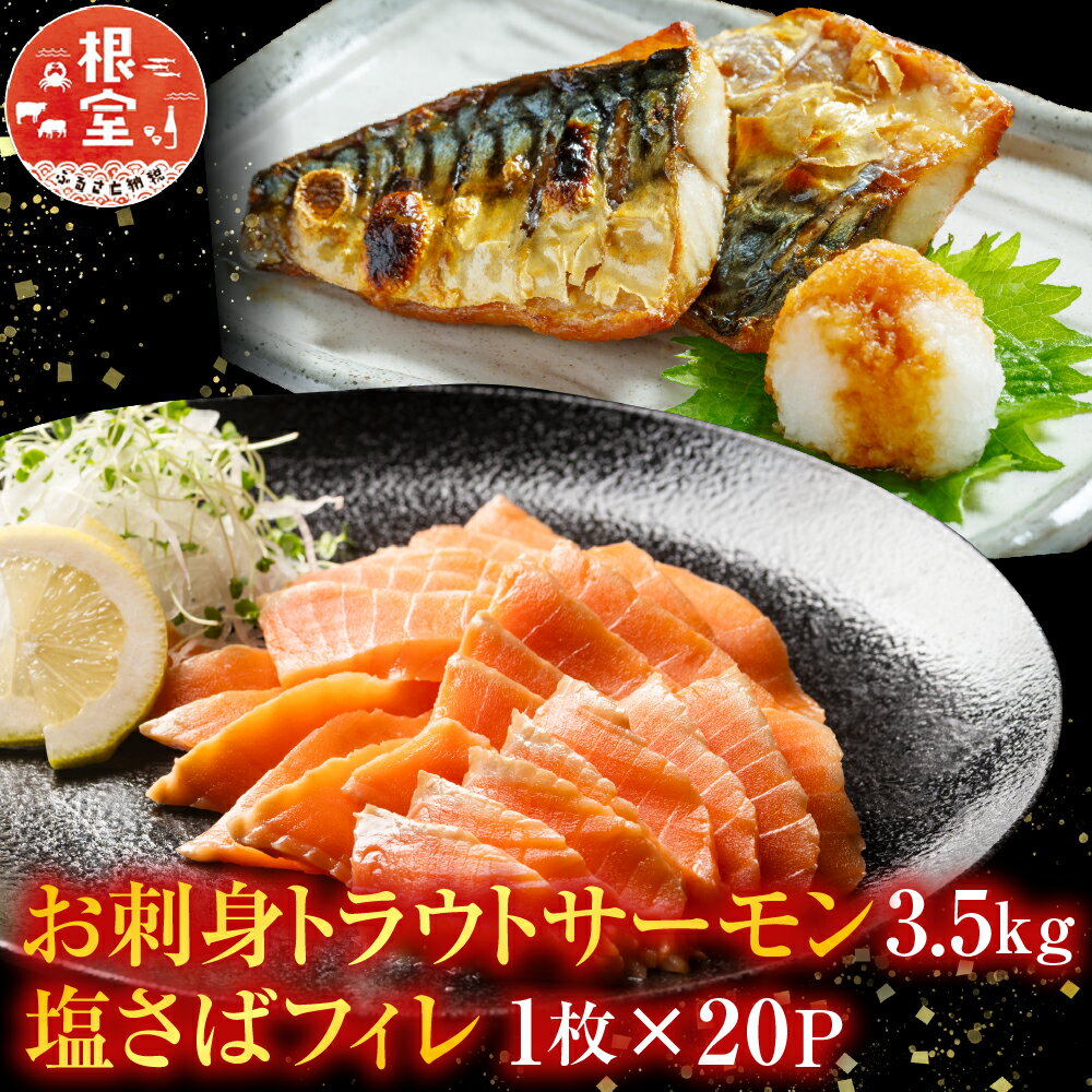 【ふるさと納税】 お刺身トラウトサーモン 3.5kg、塩さばフィレ 1 枚 × 20P 鮭 さけ サケ しゃけ シャケ 魚 さかな サカナ しおさば 塩サバ しおサバ お取り寄せ グルメ 海鮮 北海道 根室市 ふるさと納税 D-09020
