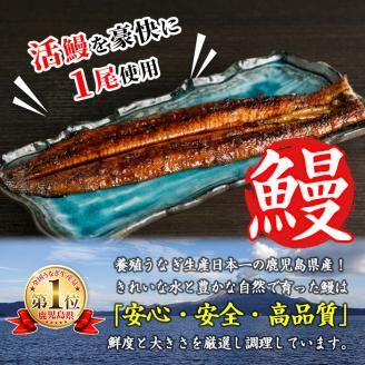 i799 鹿児島県産 鰻重(1人前) うなぎ 鰻 ウナギ うな重 国産 鹿児島県産 おかず 晩御飯 特別な日 土用の丑の日 【とらふぐ家】