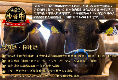 【A４等級以上黒毛和牛】宮崎牛高級部位３点セット　1.2㎏