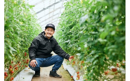 ピザ マルゲリータ 手作りピザ 冷凍ピザ 3枚 高糖度 フルーツトマト チーズ モッツァレラチーズ 朝採れ フレッシュ バジル トマト トマトソース 濃縮 tomato 野菜 やさい yasai 瞬間