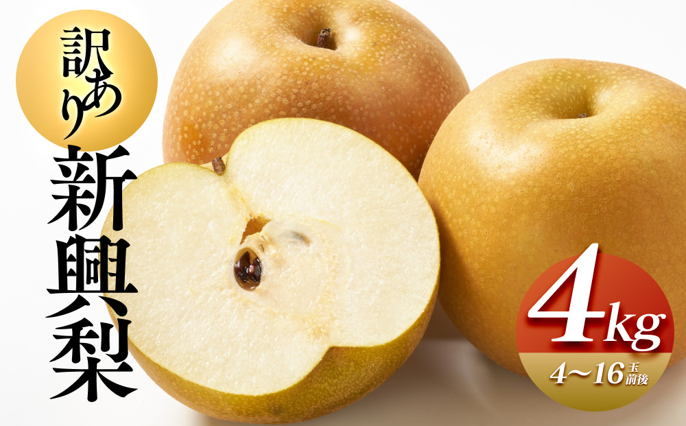 927.【先行予約】【訳あり】新興梨 4kg（4～16玉前後）≪果物 フルーツ くだもの≫　※2026年10月上旬～11月下旬頃に順次発送予定
