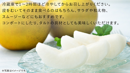 あきづき 梨 5kg （10～18玉）【2025年10月より発送開始】（茨城県共通返礼品 [梨]：大子町産） なし 旬 お取り寄せ フルーツ 甘い ジューシー 和梨 時期