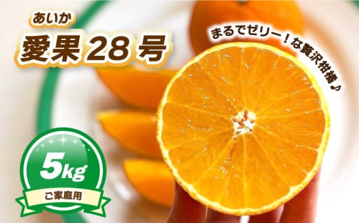【11月下旬~1月上旬頃発送予定】  ご家庭用 愛果28号 5kg | あいか ご家庭用 みかん 数量限定 みかん 愛媛県産 みかん 愛果28号 松山市 みかん 愛果28号 みかん 蜜柑 愛果28号 ミカン みかん 旬 愛果28号 愛媛県 松山市