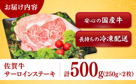 佐賀牛 サーロインステーキ 計500g（250g×2枚） / 佐賀県 / ヤマサン食品 [41ADAA004]