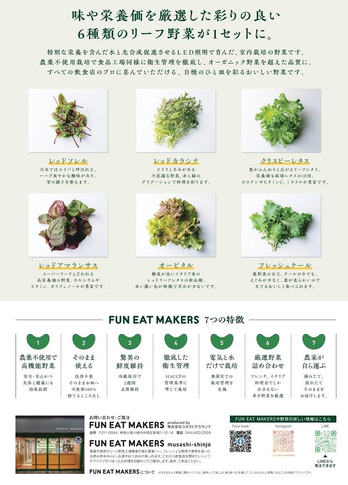 ミシュランシェフ御用達 鮮度2週間 無農薬6種リーフ500g
